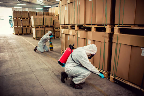 Best Flea Control Services  in Colby, KS