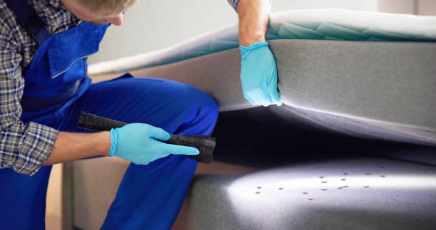 Best Local Pest Control Services  in Colby, KS