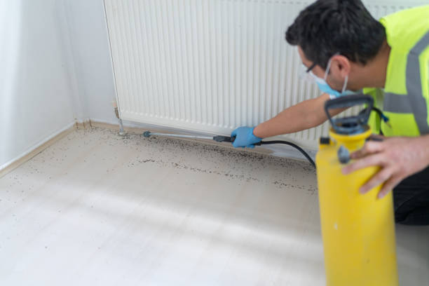 Best Pest Control for Homes  in Colby, KS